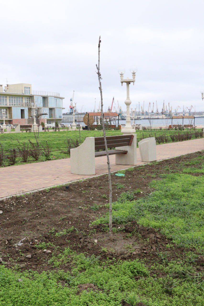 Олег Каторгин: Знаю, с каким вниманием керчане относятся к высадке новых растений, поливу и заботе о зеленых насаждениях Олег Каторгин: Знаю, с каким вниманием керчане относятся к высадке новых растений, поливу и заботе о зеленых насаждениях