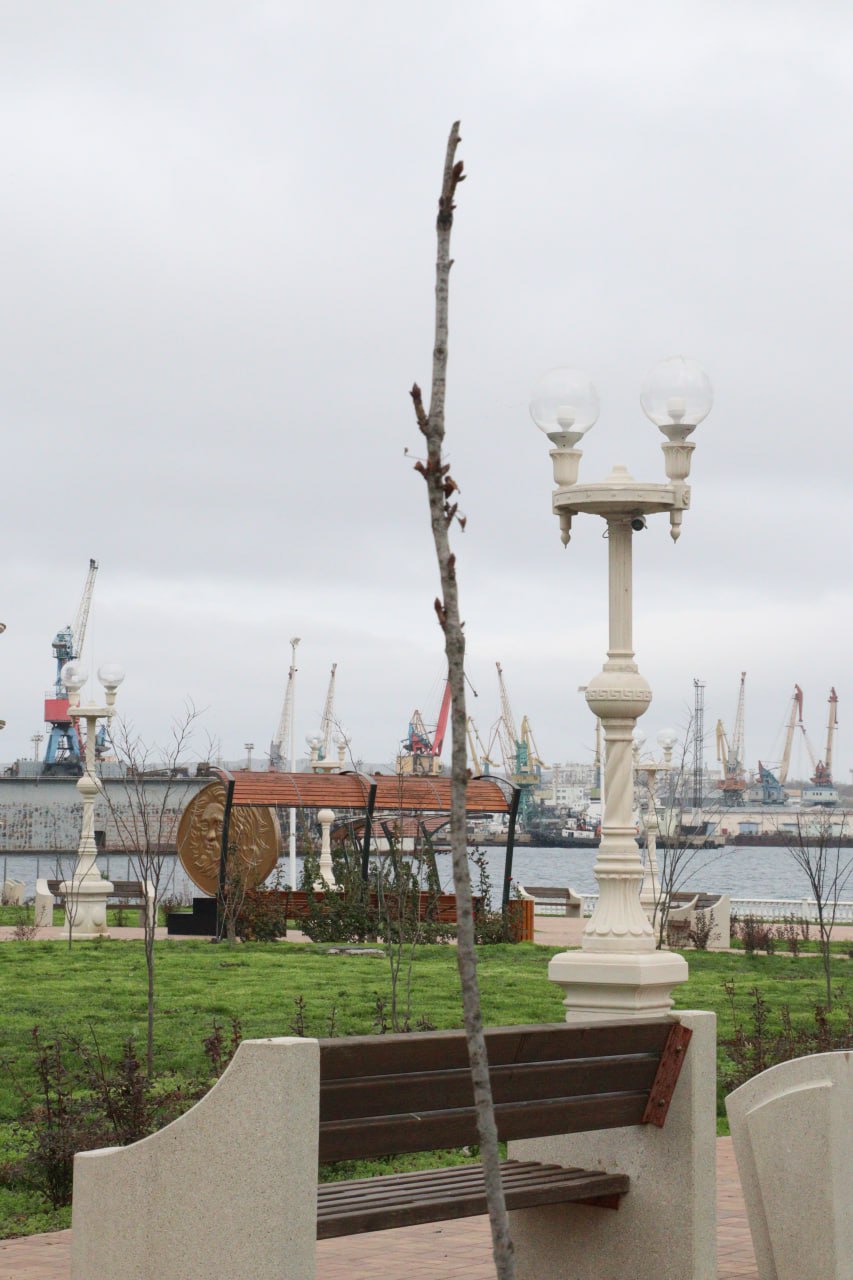 Олег Каторгин: Знаю, с каким вниманием керчане относятся к высадке новых растений, поливу и заботе о зеленых насаждениях Олег Каторгин: Знаю, с каким вниманием керчане относятся к высадке новых растений, поливу и заботе о зеленых насаждениях