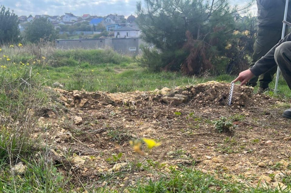 � ����������� ������� ����� ������ �� ����������� ������������� �������