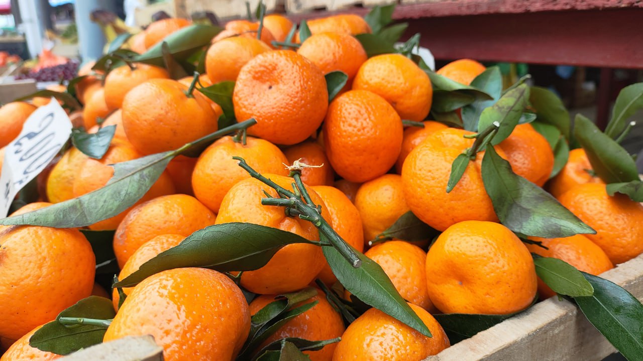 Олег Каторгин: Подводим итоги работы АО «Агора-Сервис» в этом году Олег Каторгин: Подводим итоги работы АО «Агора-Сервис» в этом году