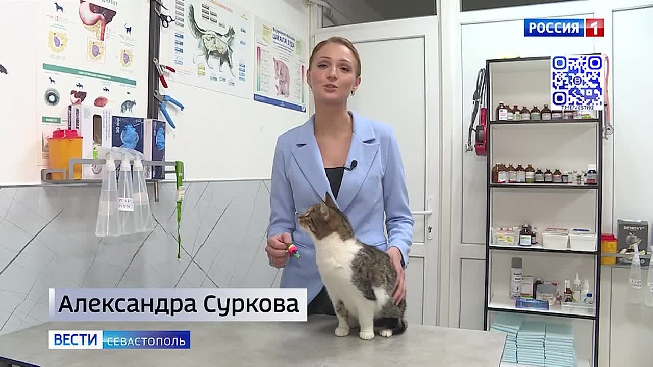 Накануне вечером один из жителей города спросил губернатора, как дела у его кота Сноу