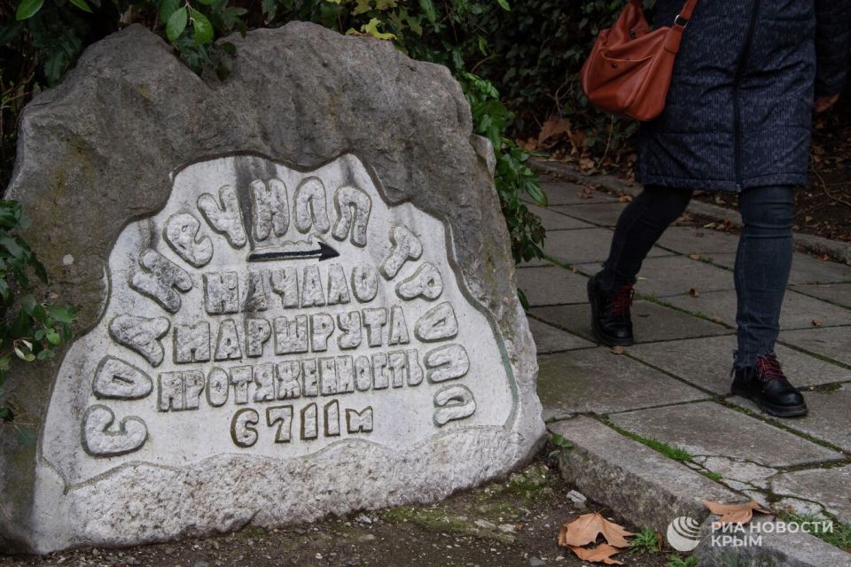 Как изменится парк Ливадийского дворца после реновации Как изменится парк Ливадийского дворца после реновации