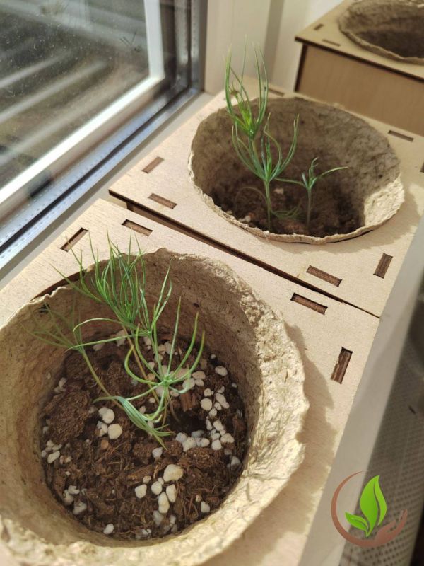 ����� 5 ����� ��������������� �������� ������ ����� �������� � ������ ����� �������� ��� ������