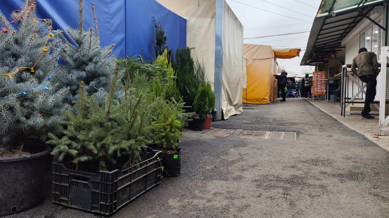 Олег Каторгин: Подводим итоги работы АО «Агора-Сервис» в этом году Олег Каторгин: Подводим итоги работы АО «Агора-Сервис» в этом году