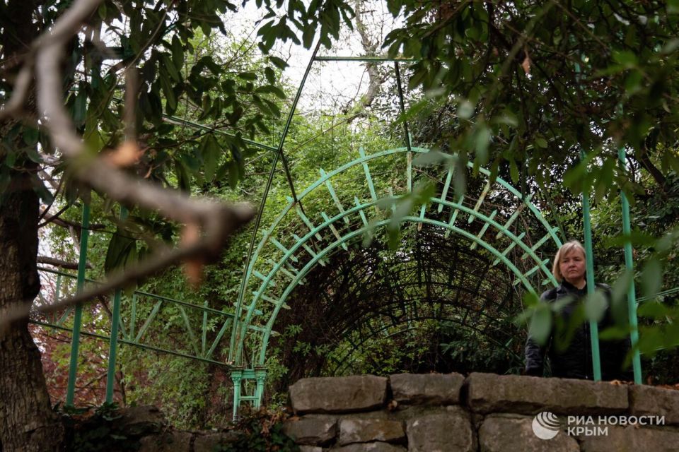 Как изменится парк Ливадийского дворца после реновации Как изменится парк Ливадийского дворца после реновации