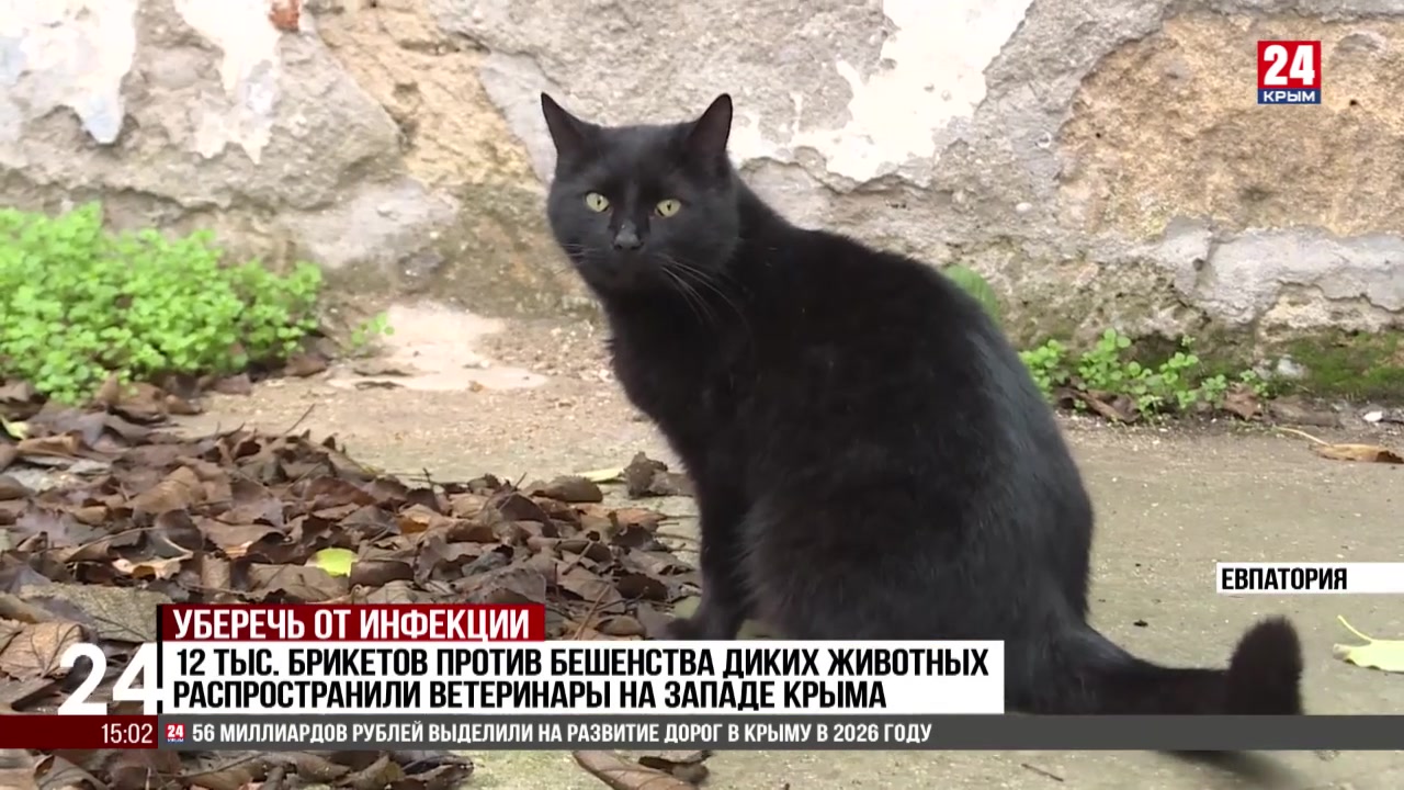 12 тыс. брикетов против бешенства диких животных распространили на западе Крыма