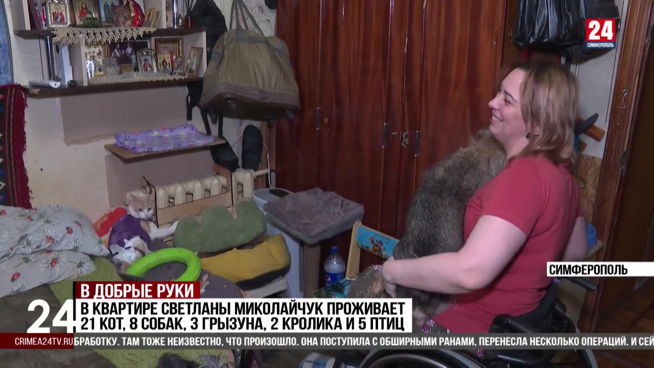 Женщина-инвалид в Симферополе приютила 39 животных в своей квартире