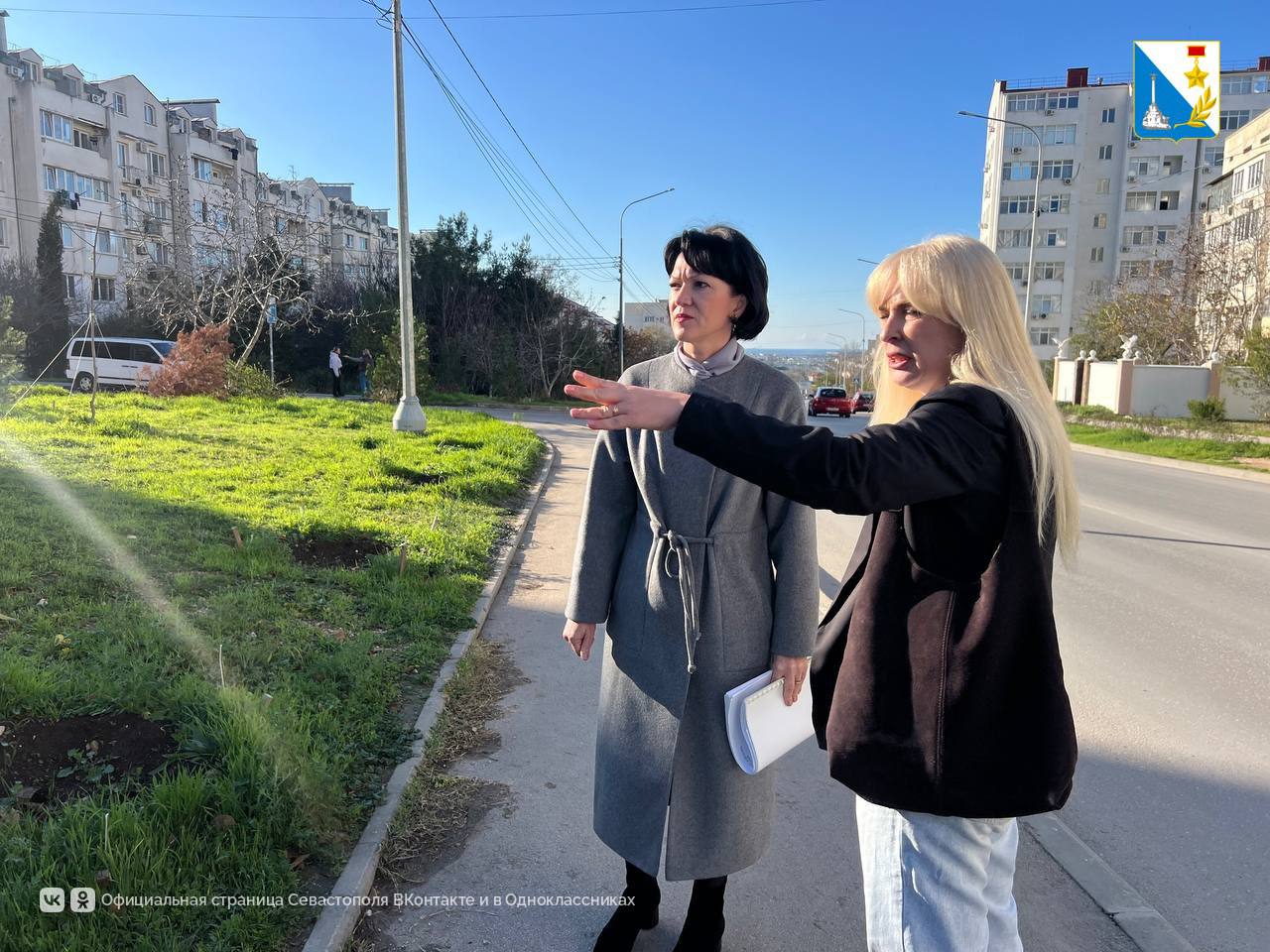 Первые результаты «Прямой линии» губернатора: на улице Маринеско уже идет замена засохших деревьев