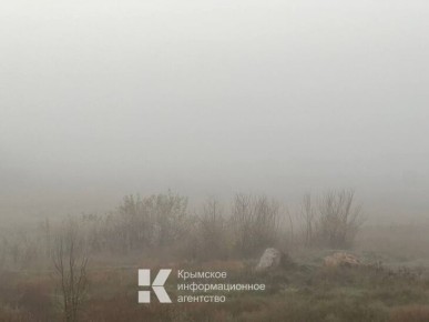 Сегодня утром Симферополь окутает сильный туман