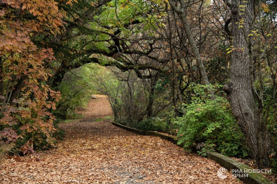 Как изменится парк Ливадийского дворца после реновации Как изменится парк Ливадийского дворца после реновации