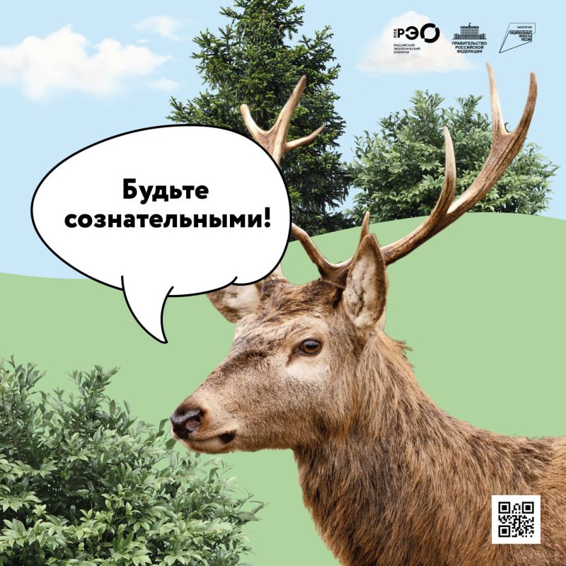 ���������� � ���������� ��������� � ��������