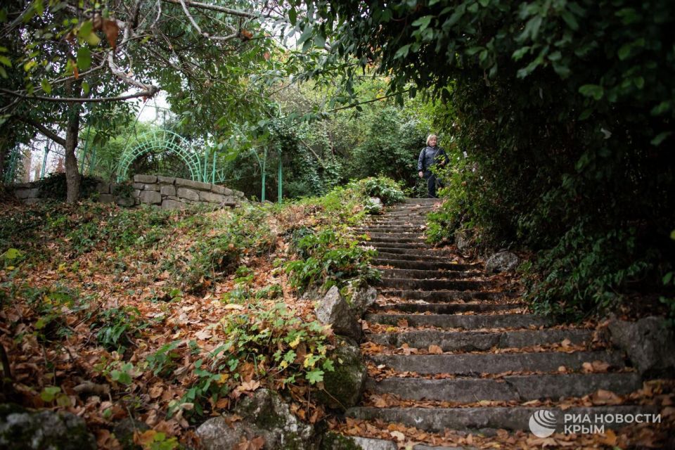 Как изменится парк Ливадийского дворца после реновации Как изменится парк Ливадийского дворца после реновации