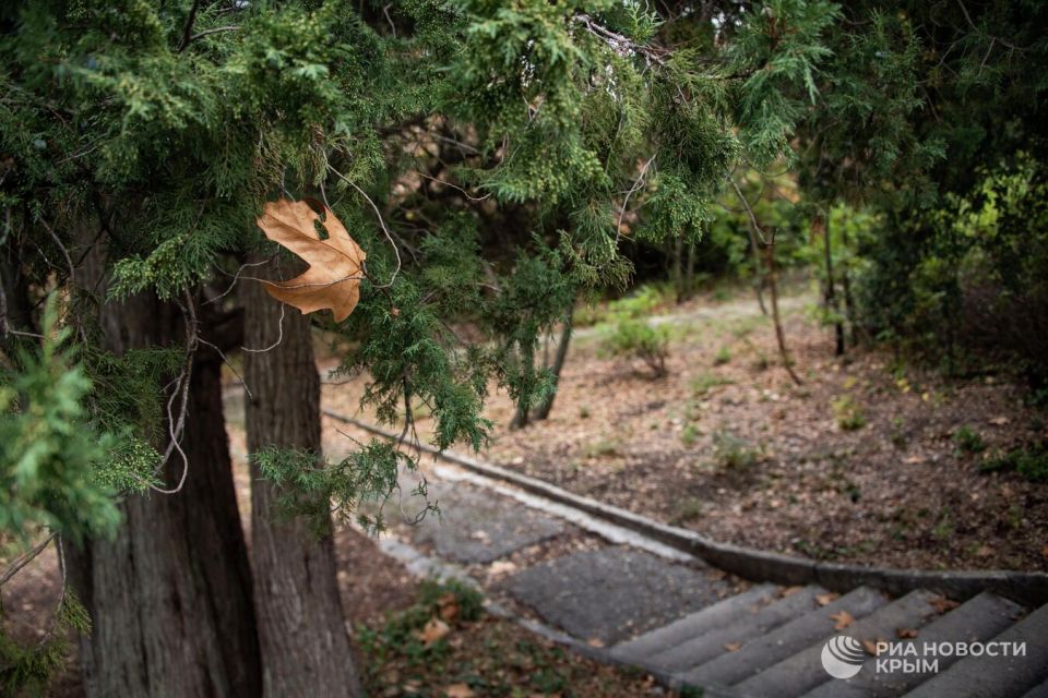 Как изменится парк Ливадийского дворца после реновации Как изменится парк Ливадийского дворца после реновации