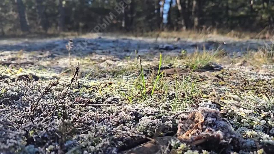 ���� ��������� � ����������� ���������