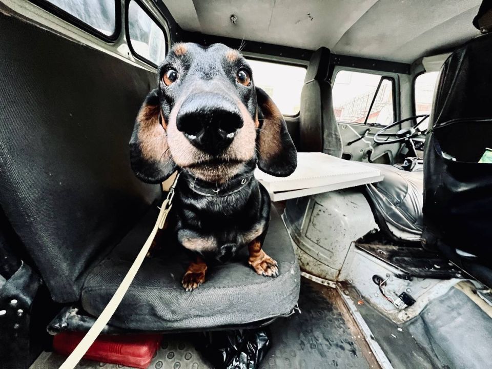 �� ������ ����. � �������� ��� ��� � ����� 22-��, �� ����� ������ ���������