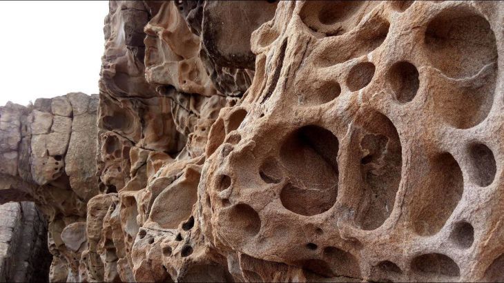 � ����� ������������� ������� ������� ������