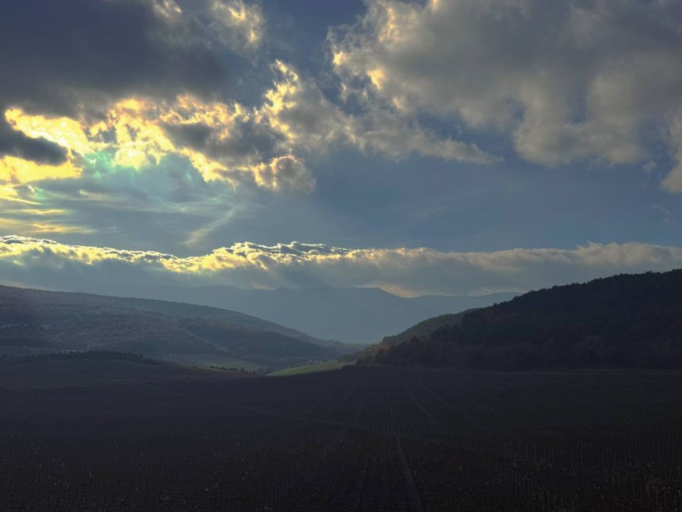 ������ �� 5 �������:. � ���������� ����������