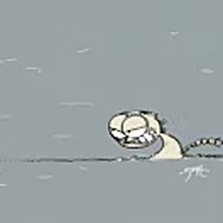 �������� �������� � ���� �� ��������