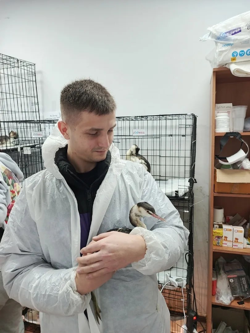 Олег Каторгин: Сегодня, в День добровольца, мы говорим слова благодарности людям, готовым бескорыстно дарить своё время и энергию, показывая пример того, как один человек может менять мир к лучшему Олег Каторгин: Сегодня, в День добровольца, мы говорим слова благодарности людям, готовым бескорыстно дарить своё время и энергию, показывая пример того, как один человек может менять мир к лучшему