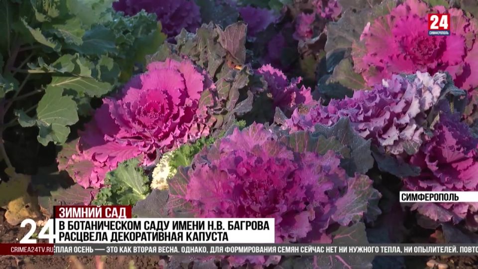 � ������������ ���� ����� ������� � ������� �������� ������ ��������