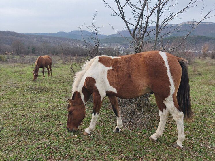 � �������������� ������ ���������� ���������� ������ �������