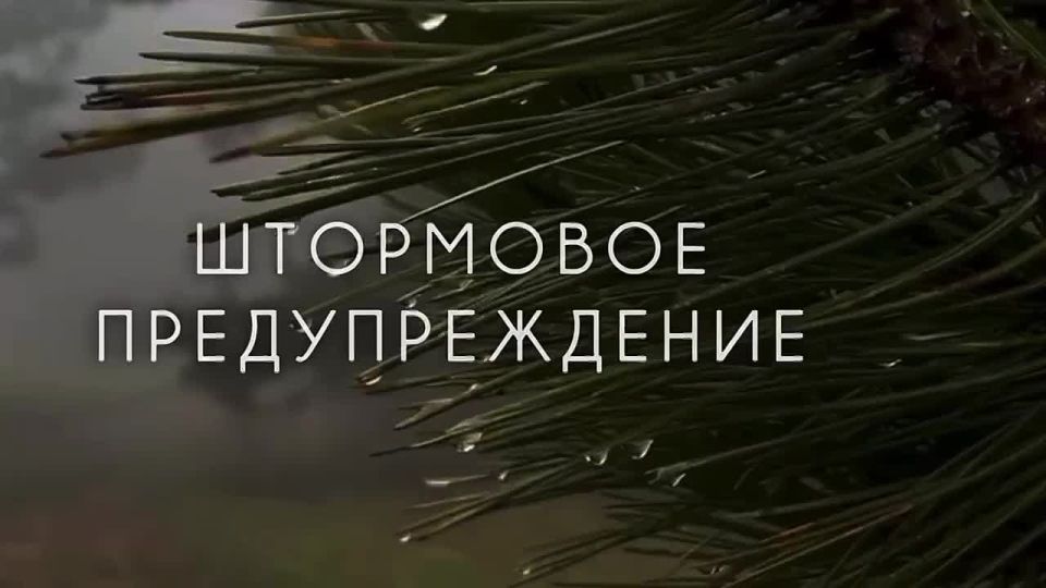 ���������� �������������� �� ������� ���������������������� �������� �� ���������� ���� �� ������ 6-9 ������� 2025 ����