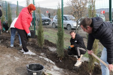 В Алуште высадили кипарисовую аллею в память о погибших горожанах – бойцах СВО