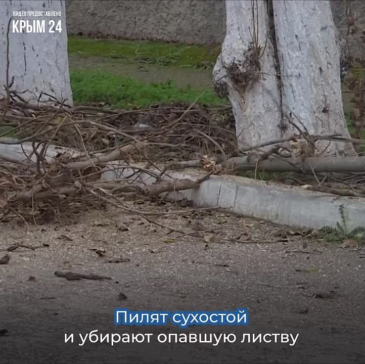 �������� �� �������� �����������, �� ������ ����������� ������� ��������� � ����������� �������