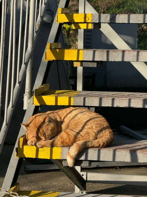 ������ �� 6 �������:. � ��������