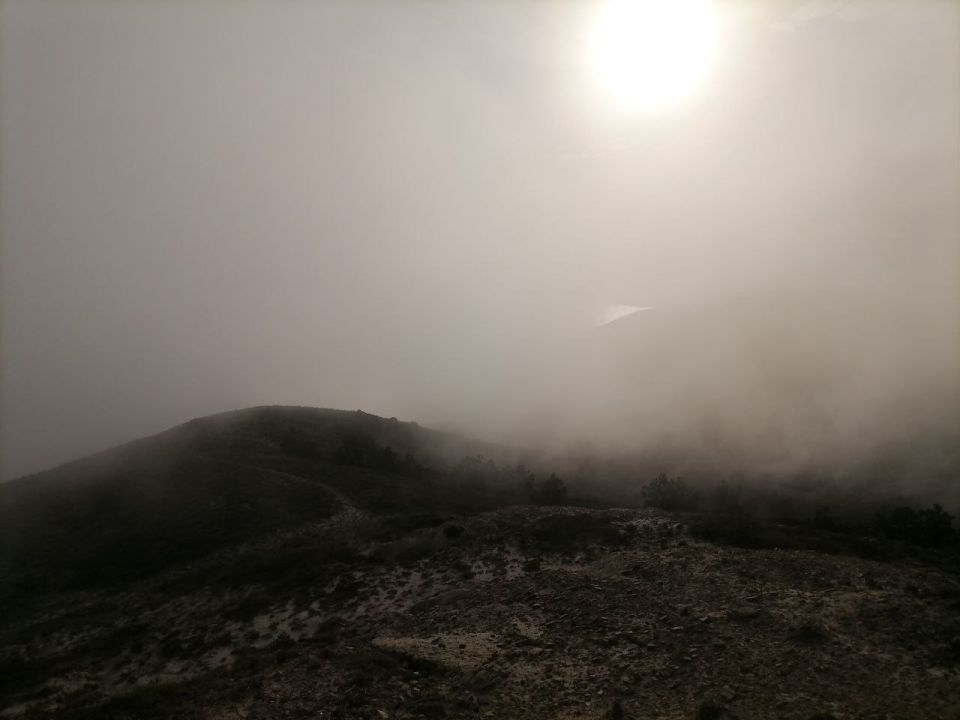 �������� ���� ������ �����