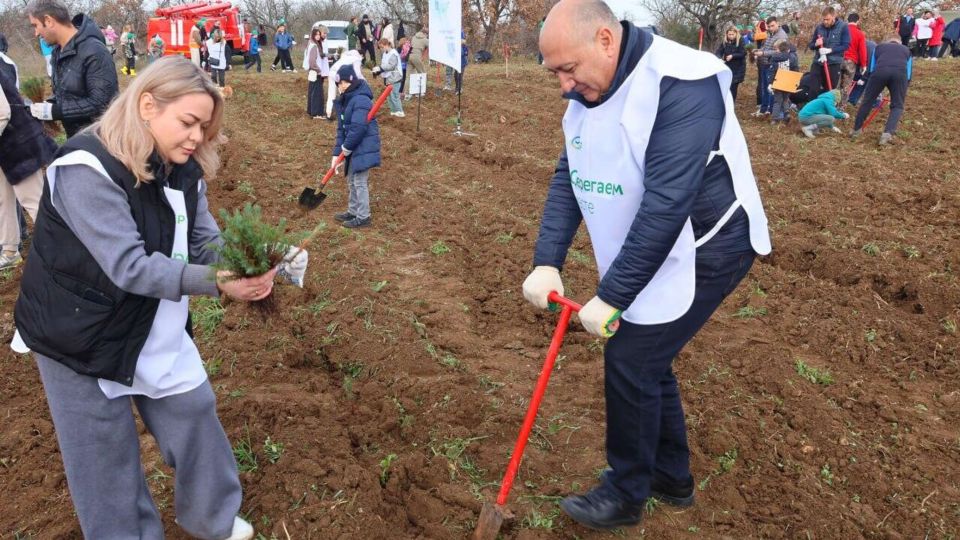 В Севастополе заложили новый сосновый бор в рамках акции "Сохраним лес"