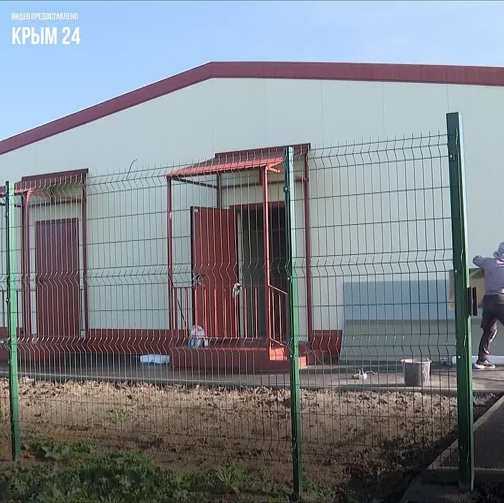 � ��������� ������ �������� � ���������� ������������� ��������� ����������� � ���� ��������, ���������, ���������, �������, �������� � ����������