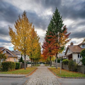 Какая погода ждёт жителей и гостей Крыма 7 декабря