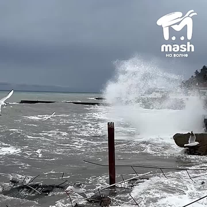 � ����� �� 9 ������� ������� ����� ������ ����: ������� �����, � ���-��� ��� � �����