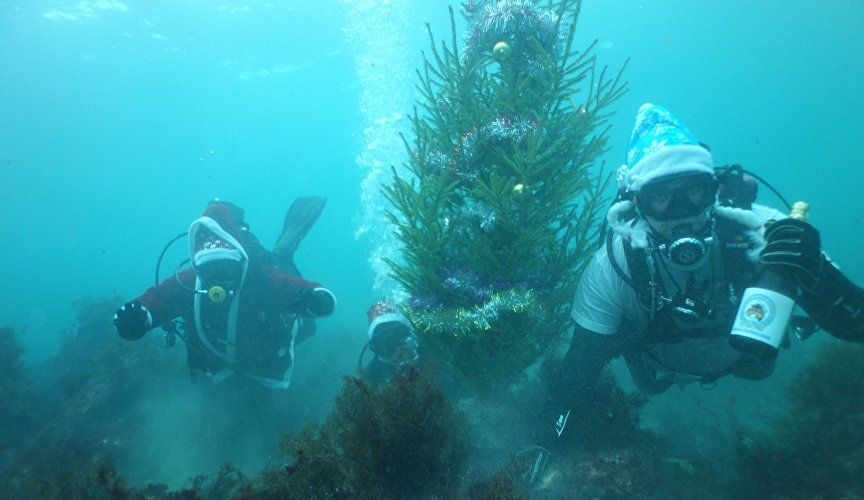 В Крыму приглашают встретить Новый год под водой: где пройдёт праздник