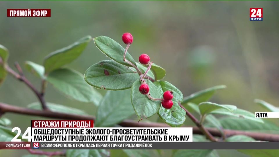 Новый метод командообразования внедрили в работу «Заповедного Крыма»