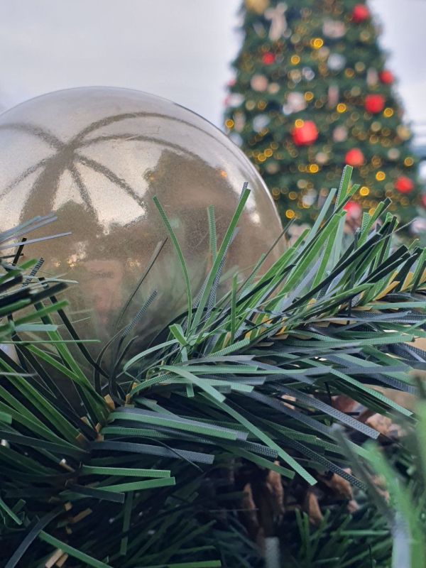 ����� ��������: ���� ��������������. ������ ������, ������!