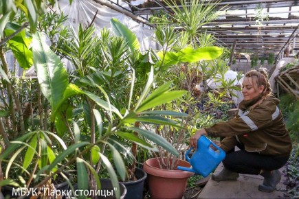 Весна ещё далеко, но красота будущих цветников создаётся уже сейчас!