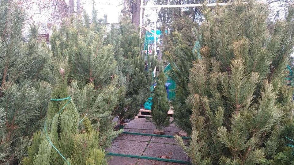 � ����������� ��������� ������� ������: ����� ���