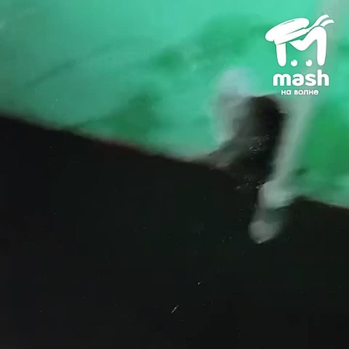 ��������� ���� ������ ���� ����� � 100 ������ �� ��������� �������������