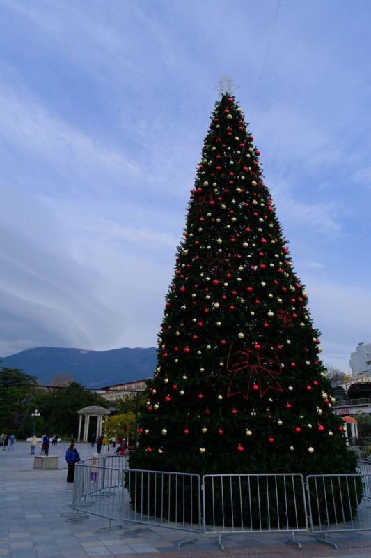 ��� ����� �������� ����� ��������� ������ � ����