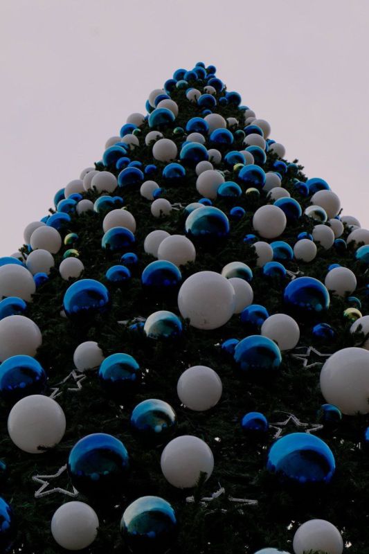 Улицы Ялты украшают новогодние ёлки