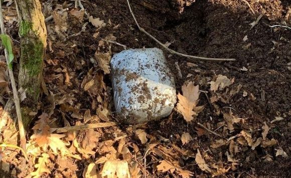 � 8 ����� ������� ����������� ���������� �� �����������