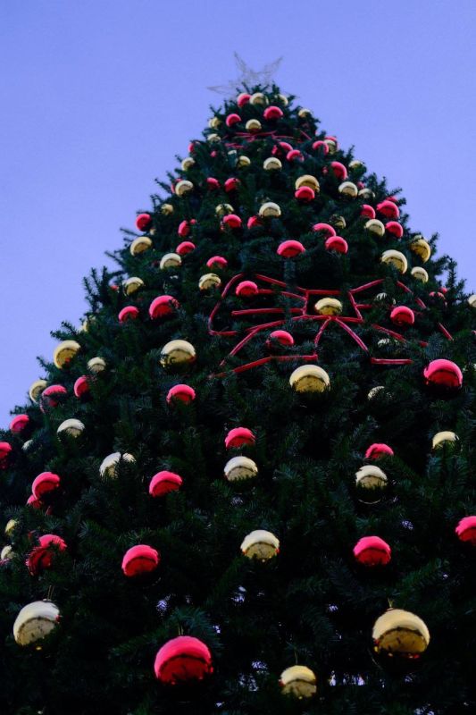 ����� ��������: ���� ��������������. ������ ������, ������!