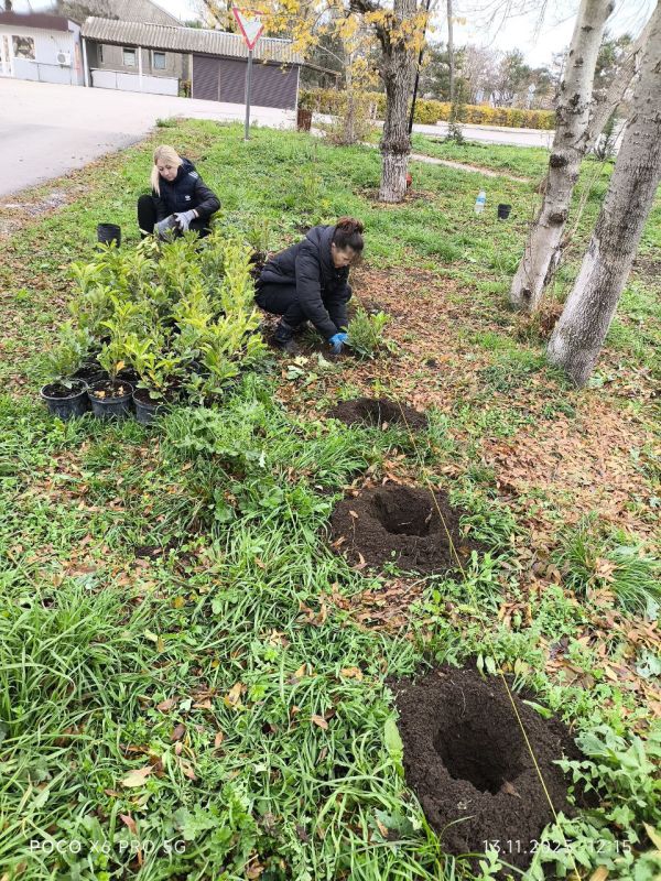 Саженцы для «Дружбы» села Широкое Саженцы для «Дружбы» села Широкое