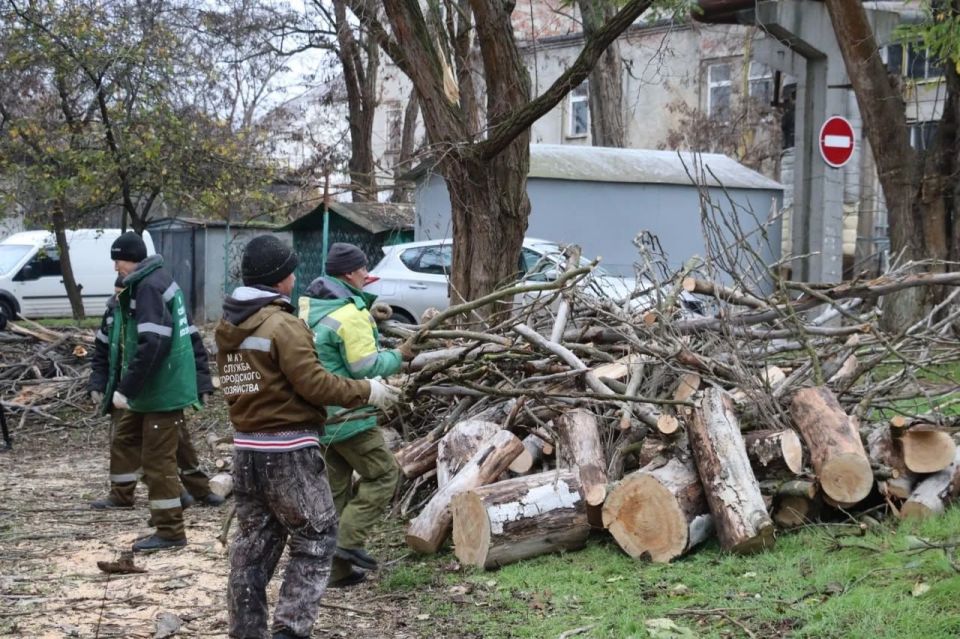 Поваленные деревья и оборванные провода: в Керчи устраняют последствия непогоды Поваленные деревья и оборванные провода: в Керчи устраняют последствия непогоды