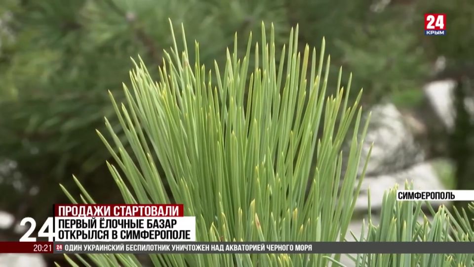 ������ ������� ����� �������� � �����������