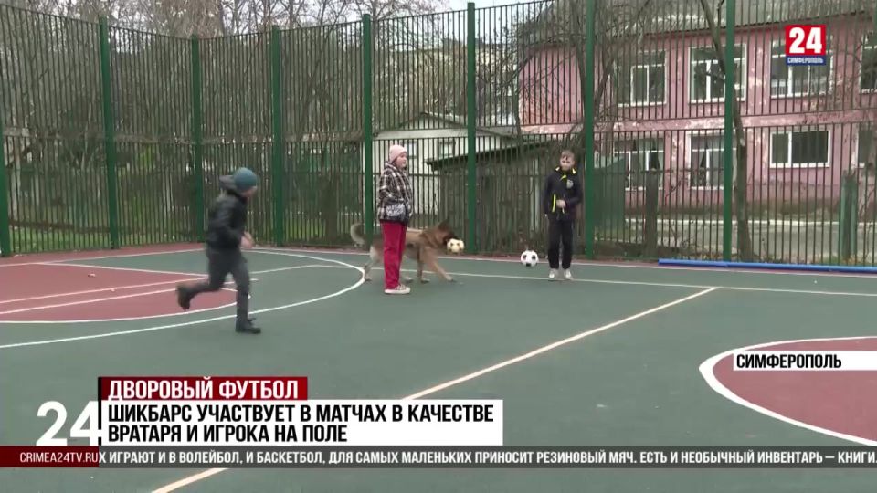 Крымский писатель в Симферополе приобщает детей к спорту