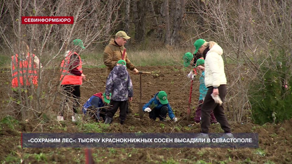 В Севастополе подвели итоги Всероссийской акции «Сохраним лес»