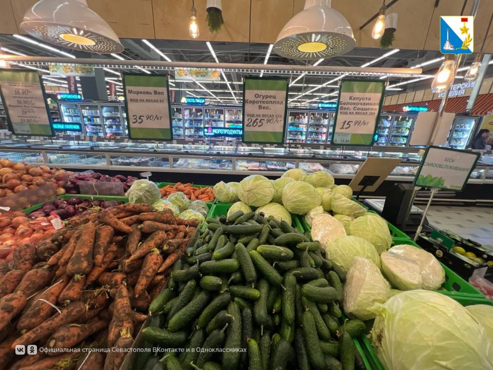 В Севастополе за неделю снизились цены на огурцы, помидоры, капусту и морковь В Севастополе за неделю снизились цены на огурцы, помидоры, капусту и морковь